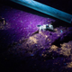 Image for article titled The Gulf Spill, One Year Later